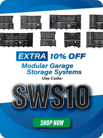 SWS10