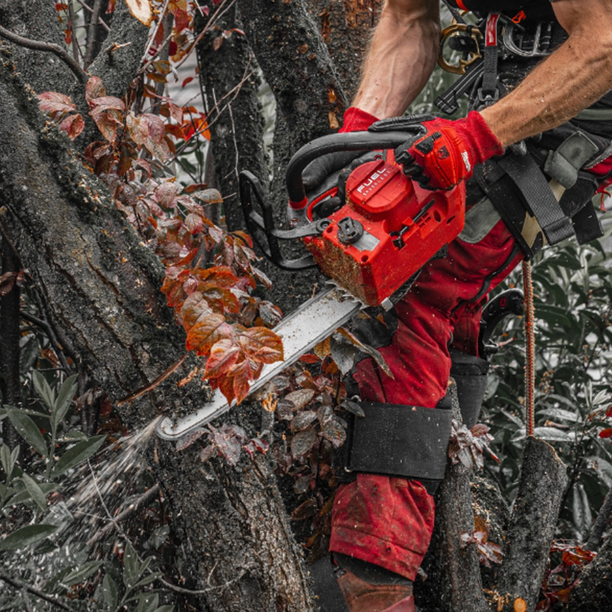 Milwaukee M18 Fuel 35cm top handle chainsaw - Body Only