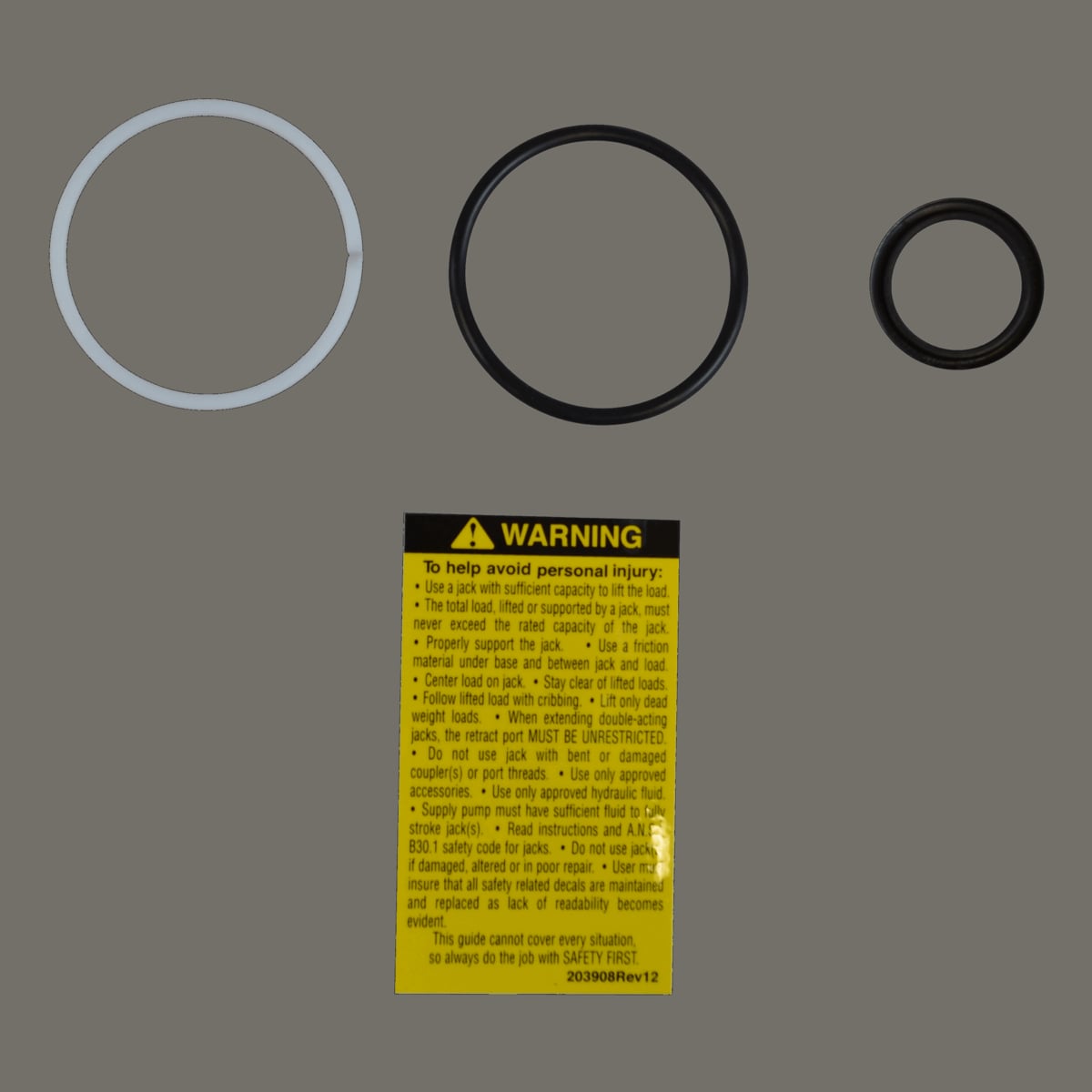 Power Team 300455 Repair Kit Rls100